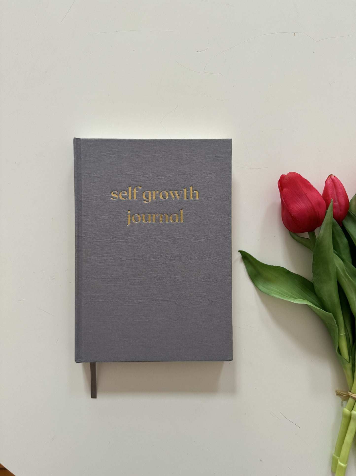 Self-growth journal en Español